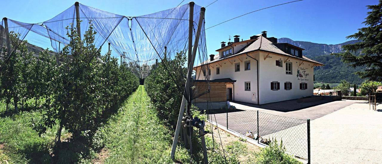 Residence Egger Terlano Dış mekan fotoğraf