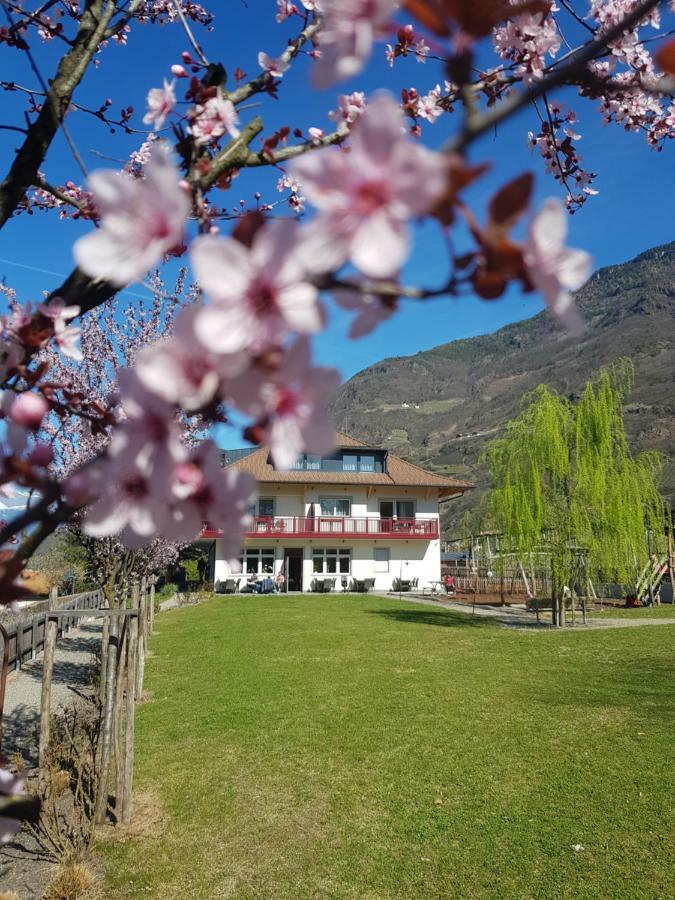 Residence Egger Terlano Dış mekan fotoğraf